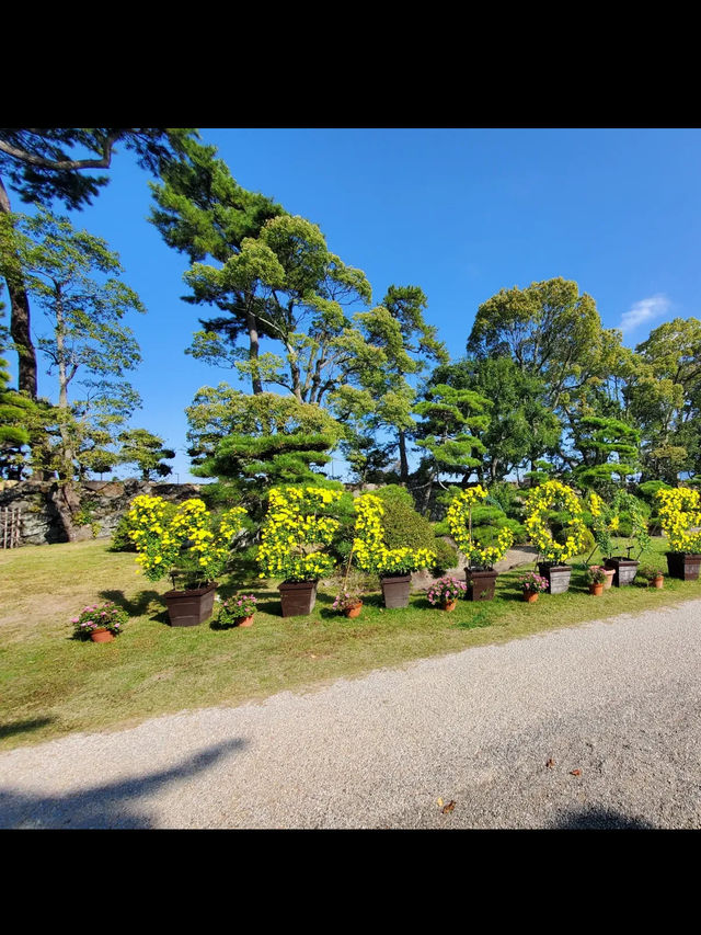 【香川旅】海と城が融合した絶景スポット!高松城跡・玉藻公園で歴史と癒しを満喫 【香川旅】海と城が融合した絶景スポット!高松城跡・玉藻公園で歴史と癒しを満喫
