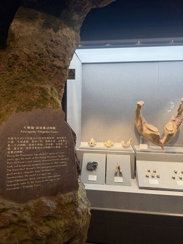 Hidden Gem at Chengdu Panda Base