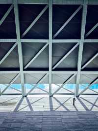 Shenzhen Museum of Contemporary Art 