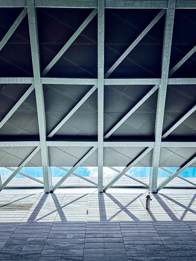 Shenzhen Museum of Contemporary Art 