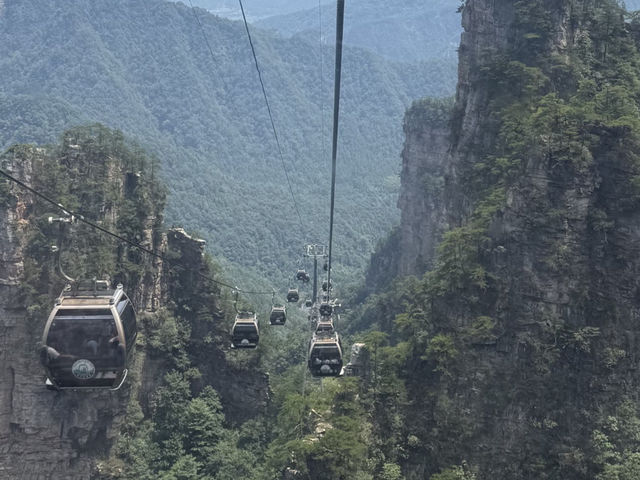 🍃 Zhangjiajie National Forest Park: A Breath of Fresh Air! ⛰️
