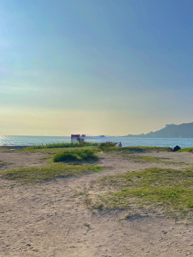 🏖️ 여름 제주도, 바다 따라 걷기만 해도 힐링이야🌊✨