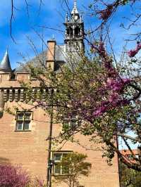 🌸🎨 Toulouse: The Pink City with a Soulful Southern Charm
