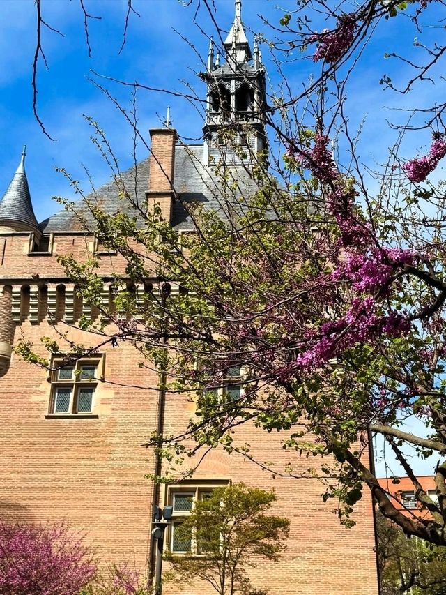 🌸🎨 Toulouse: The Pink City with a Soulful Southern Charm 🌸🎨 Toulouse: The Pink City with a Soulful Southern Charm