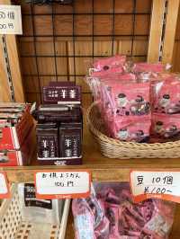 나고야 아침 먹기 좋은 코메다커피🇯🇵