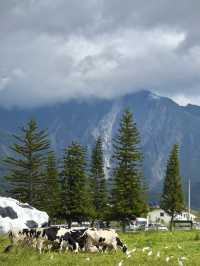 ⛰️ Chillin’ in Kundasang – Views, Cows & Cool Vibes! 🐮🌤️