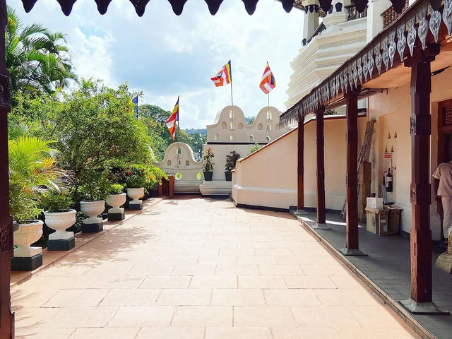 A Sacred Journey to the Temple of the Buddha’s Tooth