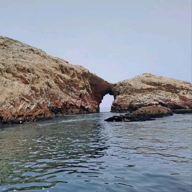 Exploring the Natural Wonders of Paracas and the Ballestas Islands