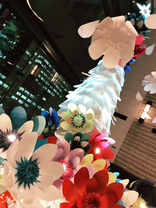 丸の内イルミネーション撮影コツと郷土料理おすすめ店 丸の内イルミネーション撮影コツと郷土料理おすすめ店
