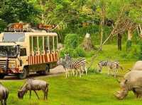 Lịch trình tham quan Safari Phú Quốc