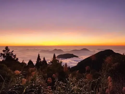 走進阿里山秘境——得恩亞納部落全攻略