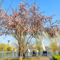 惠安溪濱公園～日落美景搶先睇🌸  