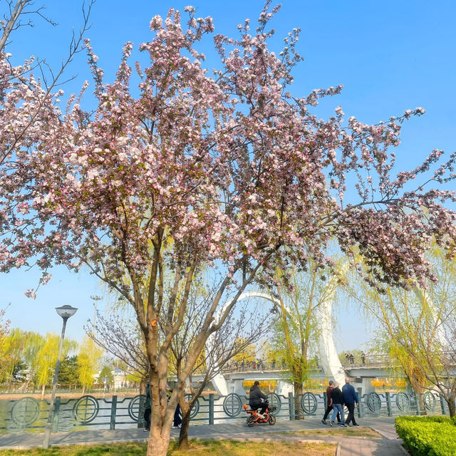 惠安溪濱公園～日落美景搶先睇🌸  
