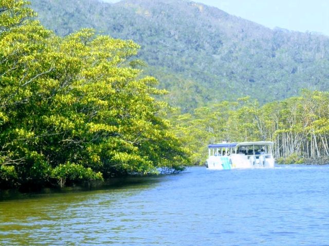 小浜島と西表島で海満喫旅