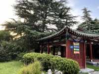 🕰🌳 Zhengzhou People’s Park — The City’s Living Square