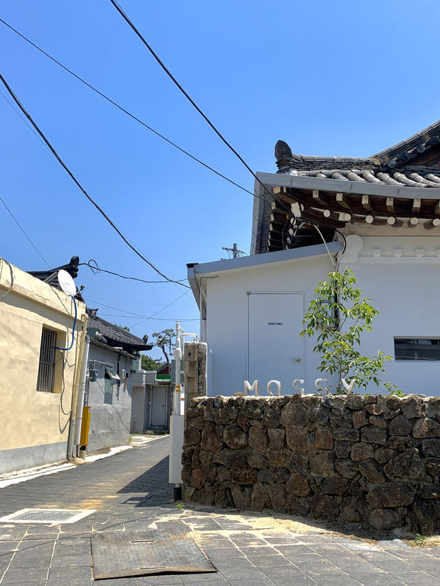 한국의 전통을 볼 수 있는 경주 1박 2일 여행 기록🇰🇷