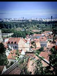 Zemun Solo: A Village Soul in a City's Heart