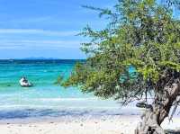 หาดนวล เกาะล้าน