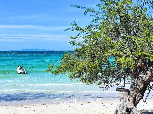 หาดนวล เกาะล้าน
