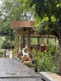 WTF COFFEE CAMP คาเฟ่น้ำตกที่สวยที่สุด ⛰️