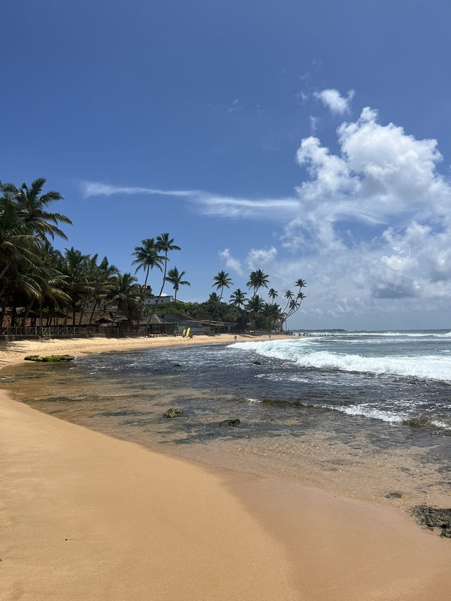 【🇱🇰スリランカ/ヒッカドゥワ】Curry Bowl Restaurant & Turtles Rest 【🇱🇰スリランカ/ヒッカドゥワ】Curry Bowl Restaurant & Turtles Rest