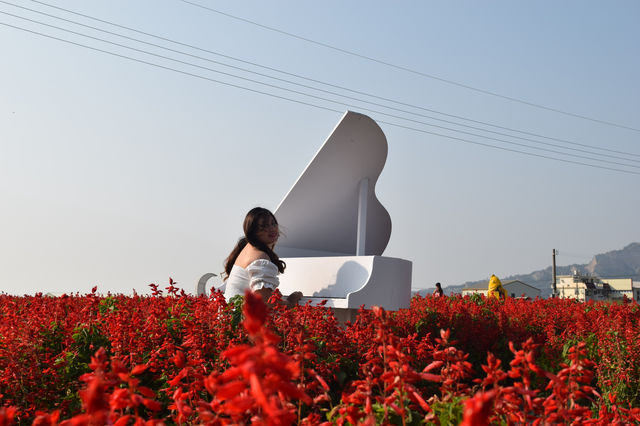 Zhongshe Flower Market in Taichung, Taiwan