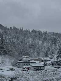 Ginzan onsen สวยสุดในทริปนี้☃️🎌