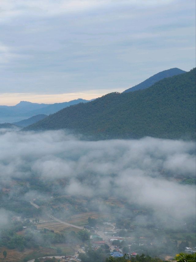 ⛰️ : ทะเลหมอกภูทอก เชียงคาน เลย