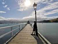 New Zealand Road Trip, Akaroa