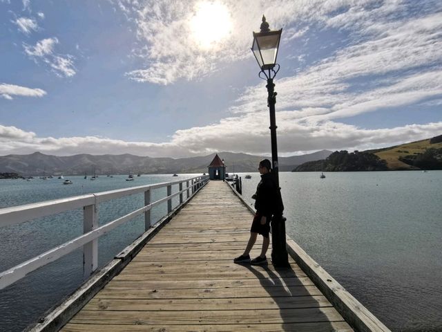 New Zealand Road Trip, Akaroa