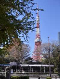 ถ่ายมุมไหน ก็เจอ Tokyo Tower 🗼