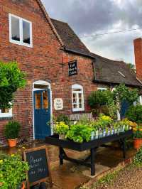 🏡 Step Back in Time at Winterbourne House & Garden 🌺 