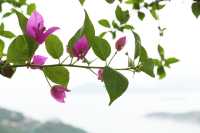 【南朗山行山攻略】🌿🌱俯瞰海洋公園全貌