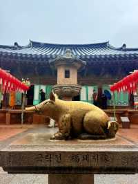 慶州｜金豬傳說佛國寺 快來找藏在牌匾後帶來財運的小豬