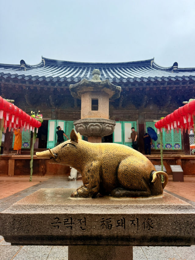 慶州｜金豬傳說佛國寺 快來找藏在牌匾後帶來財運的小豬