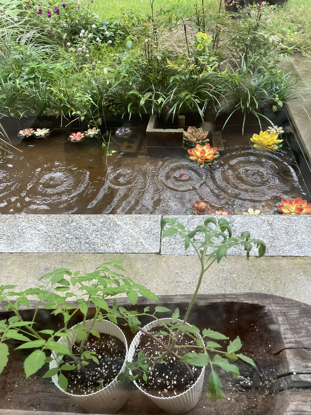 한옥의 멋과 비 오는 날의 낭만을 동시에 느끼고 싶다면 ❓☔️