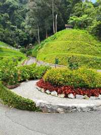 Discover Cameron Highland Lakehouse Scenery 🌿