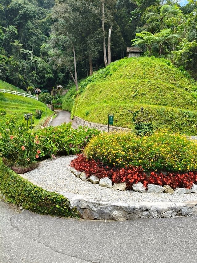 Discover Cameron Highland Lakehouse Scenery 🌿