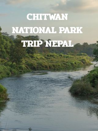 치트완 국립 여행 네팔