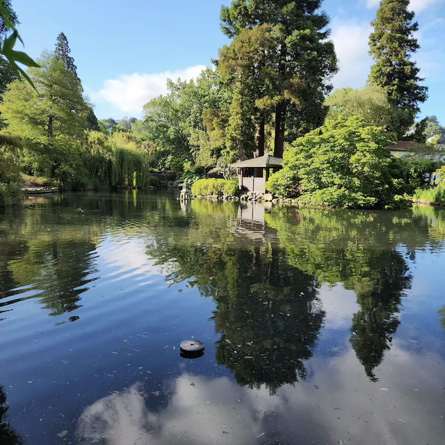 Dunedin Botanic Garden