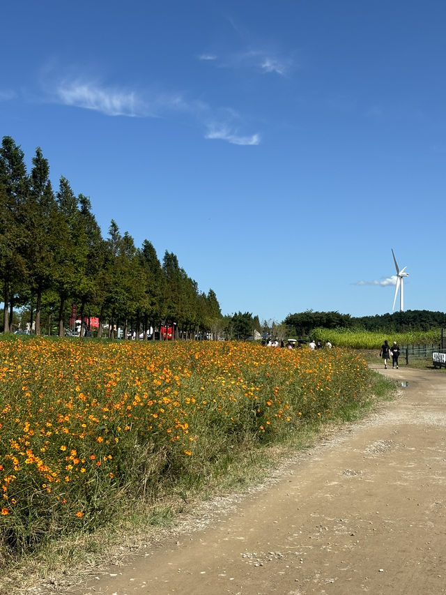마라톤 데이트 마라톤 데이트