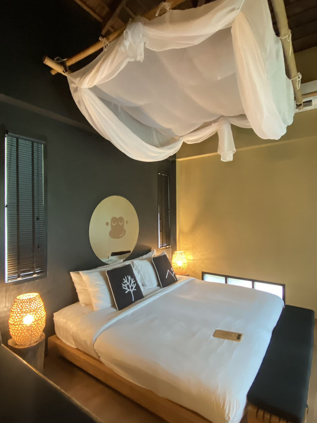 Mangrove by blue monkey ภูเก็ต  Mangrove by blue monkey ภูเก็ต