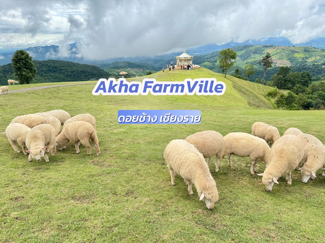 Akha FarmVille 🐑🎠⛰️