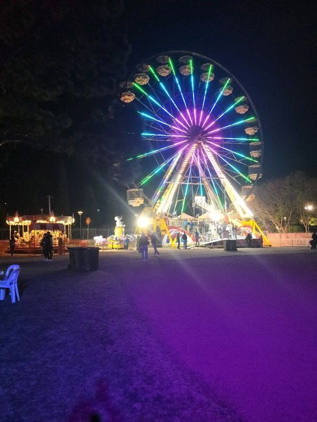 🌹Floriade Nightfest🌹