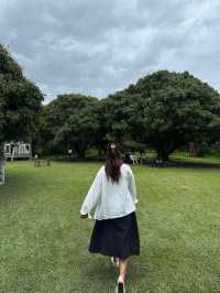 คาเฟ่เชียงใหม่ที่ต้องไปให้ได้ 🍃