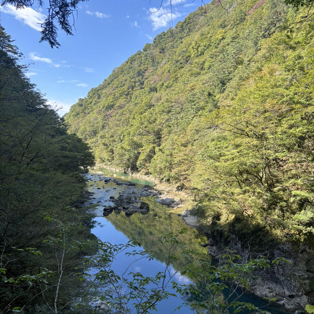 水が綺麗過ぎて癒されました❤️ 水が綺麗過ぎて癒されました❤️