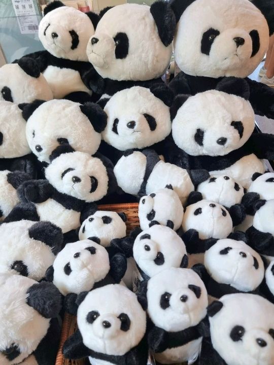 Taipei Zoo