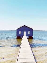 🇦🇺🌊 Perth's Blue Boat House + Kings Park: The Ultimate Instagram Trail! 📸 