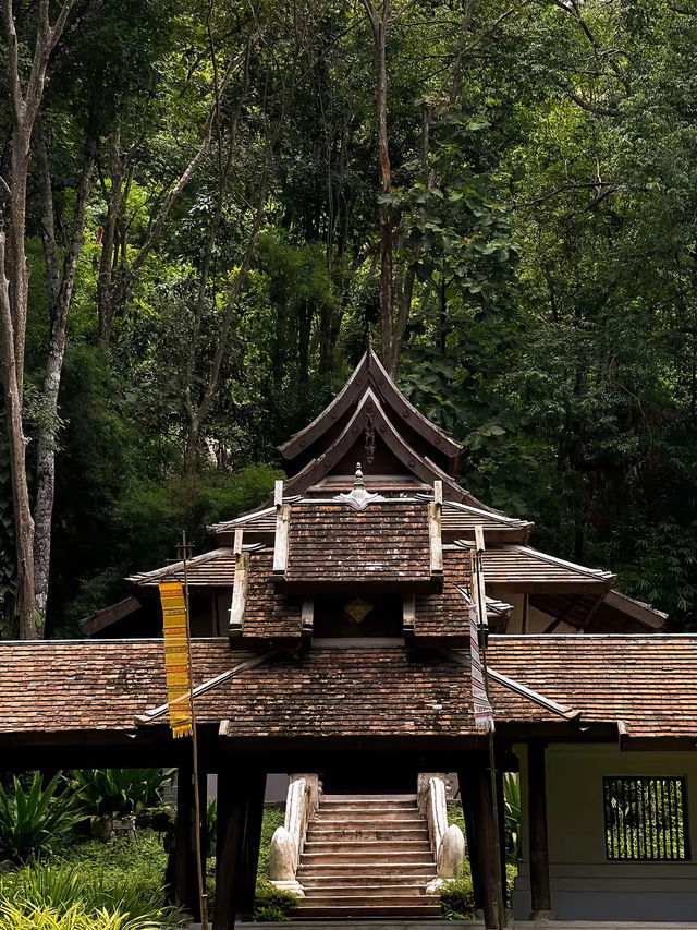 พิกัดลับบนดอยสุเทพ สายท่องเที่ยวต้องไม่พลาด !