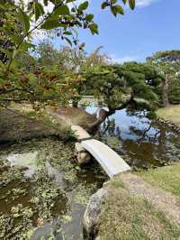 🌿 Weekend Stroll in Tsuyama: Shurakuen Garden